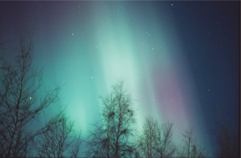 Scan61