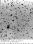 123p_20101127_ndj