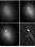 17p_20071108_ndj