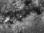 sgr_20040609_ndj