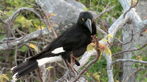 vlcsnap-2012-11-19-20h17m38s25