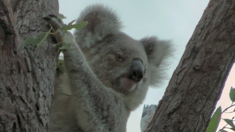 vlcsnap-2012-11-19-20h23m23s109