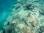 vlcsnap-2012-11-18-08h59m23s235
