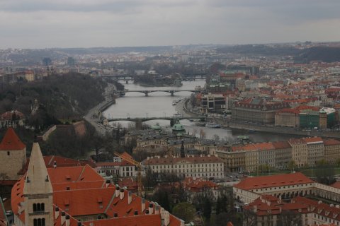 IMG_5560