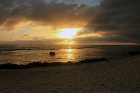 IMG_0654
